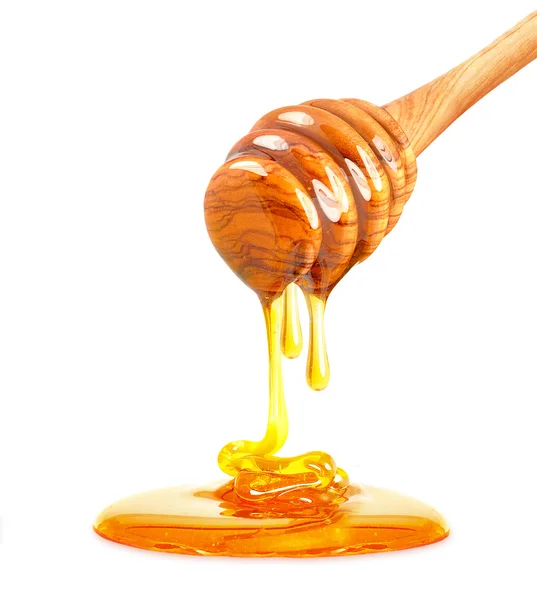 Капающий мед изолирован — стоковое фото