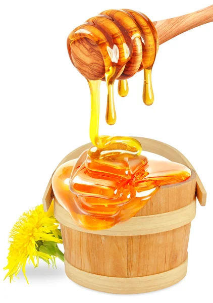 Цветочный мед изолирован — стоковое фото