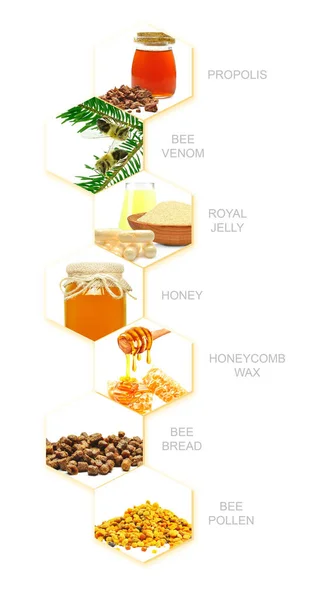 Bienenprodukte Isoliert Auf Weißem Hintergrund — Stockfoto