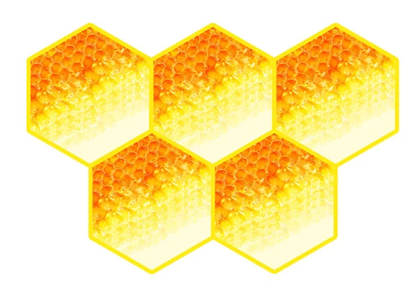 Honingraat Frame Geïsoleerd Witte Achtergrond — Stockfoto