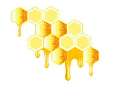 bal peteğinin damlaması beyaz bir arkaplanda izole edildi