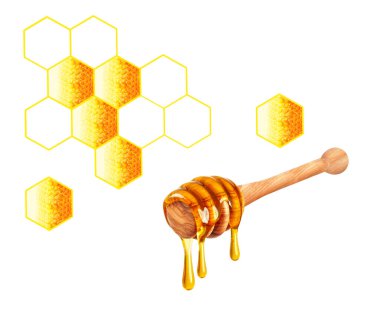 Damlayan bal ve bal peteği beyazın üzerinde yalıtılmış