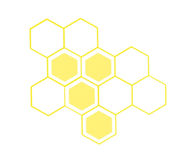 Honeycomb Isolerad Vit Bakgrund Stockbild