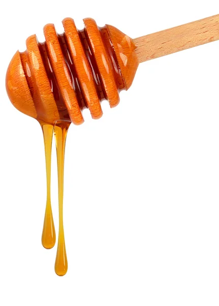 Dripping honey — Stock Photo, Image