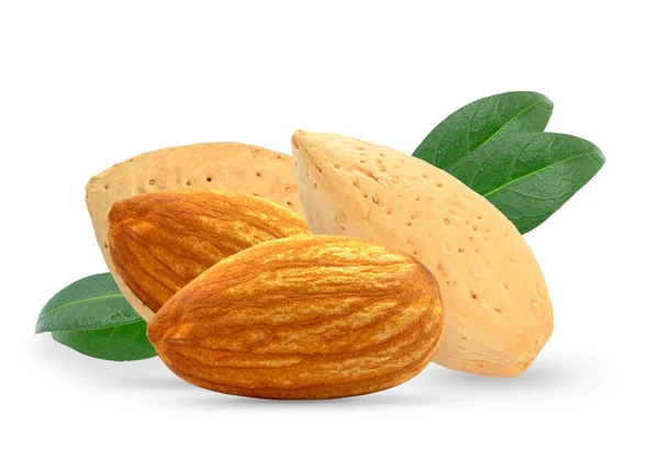 Almond nuts — Stock Photo, Image