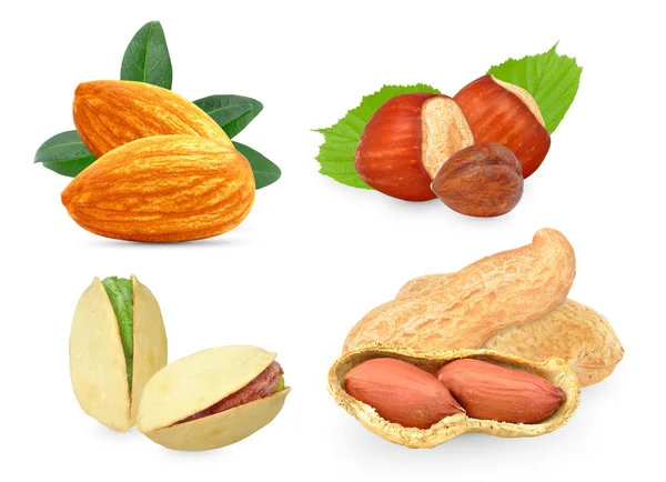 Nuts — Stock Photo, Image