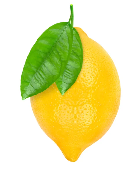 Limon — Stok fotoğraf