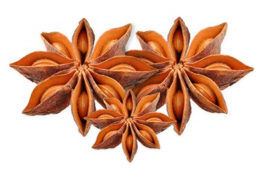 Anise clipart