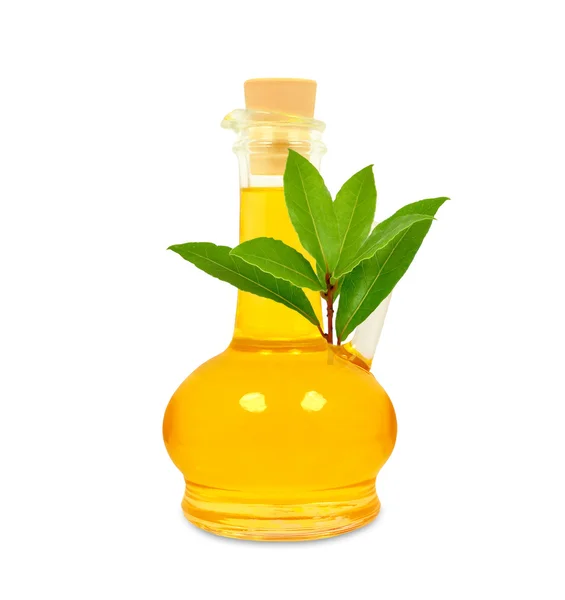 Laurel oil — Stock Photo, Image