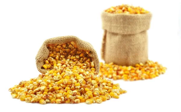 A zsák kukorica — Stock Fotó