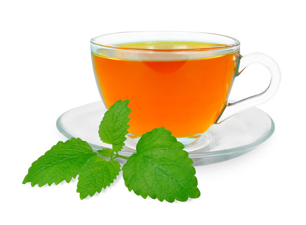 Лимонный бальзам
