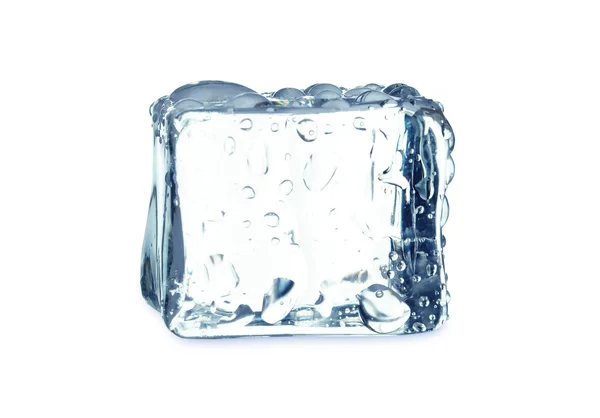 Cubes de glace — Photo