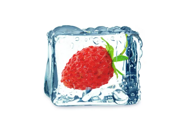Дика полуниця в кубику льоду — стокове фото