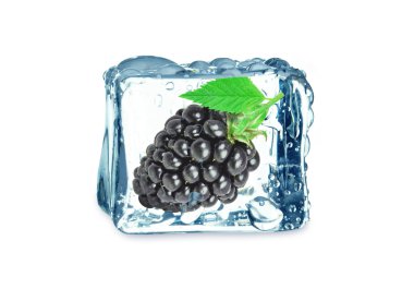 Buz küpünde böğürtlen