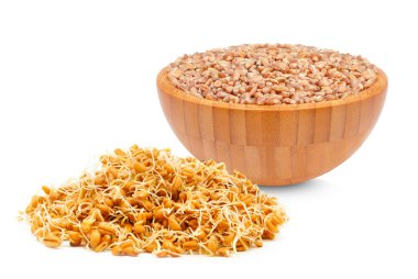 buğday tohumu