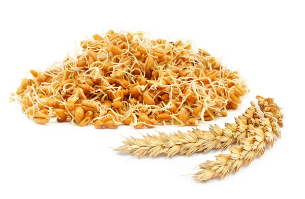 Keim von Getreide — Stockfoto