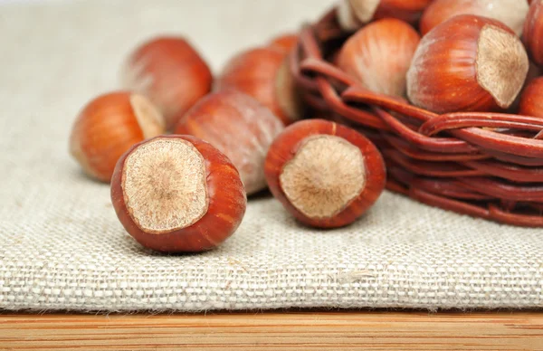 Hazelnuts — Stock Photo, Image