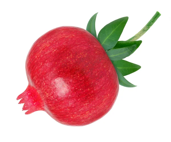 Granatapfel — Stockfoto