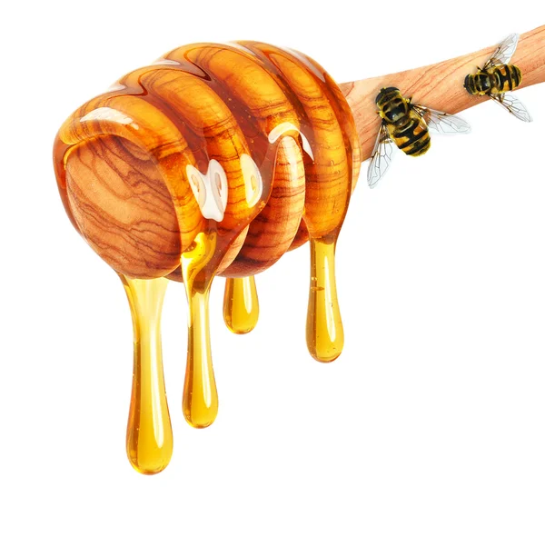 Med a včelí — Stock fotografie