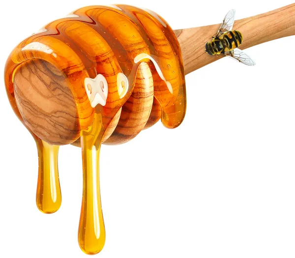 Honey and bee — Stock Photo, Image