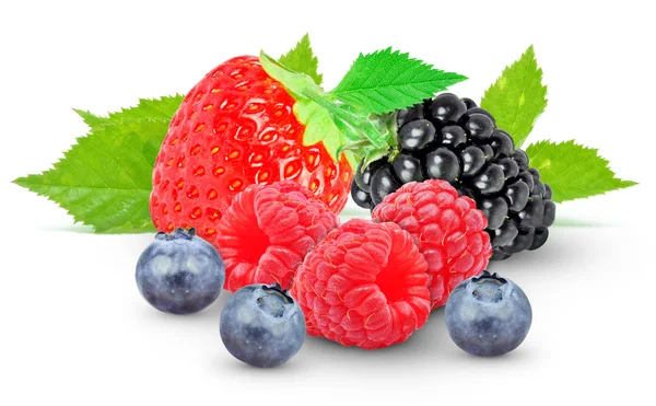 Beeren — Stockfoto