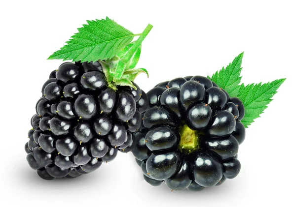 Blackberry — Stok fotoğraf