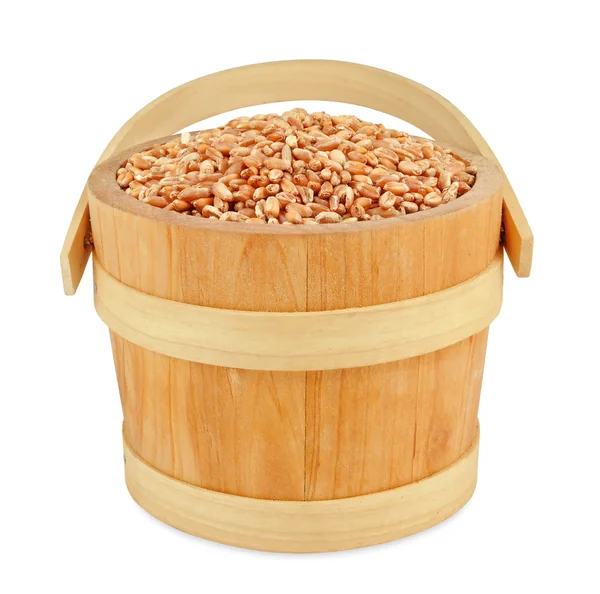 Wheat — Stock Photo, Image