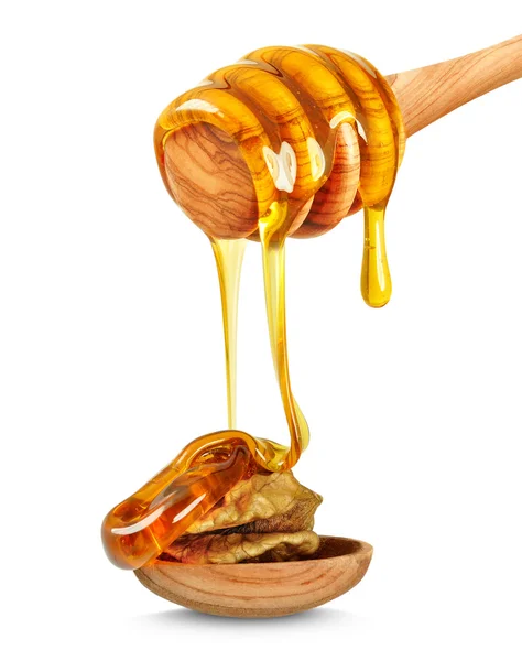Méz és dió — Stock Fotó
