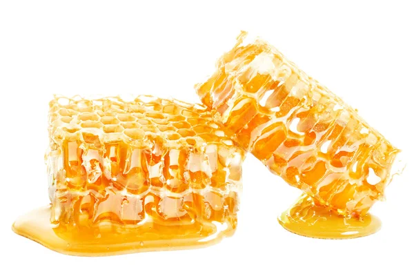 Honeycomb — Stock Photo, Image