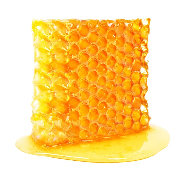 Honeycomb — Stock Photo, Image