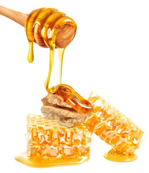 Мед и грецкие орехи — стоковое фото