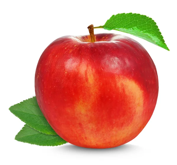 Äpple — Stockfoto