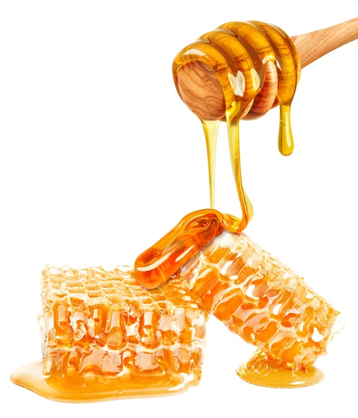 Honeycomb and honey — Stock Photo, Image