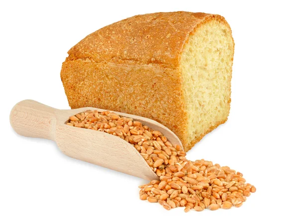 Brood en graan tarwe — Stockfoto