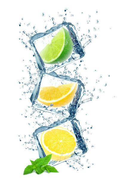 citrus fruits and ice cubes splash