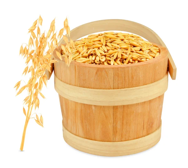Oats in a bucket — Stock Photo, Image