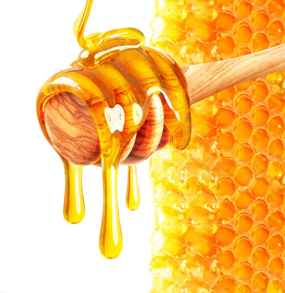 蜂蜜と蜂の巣 — ストック写真