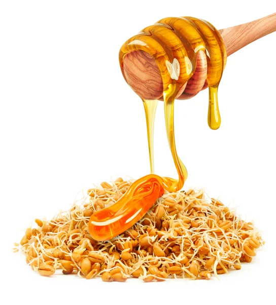 Wheat germ and honey — Stock Photo, Image