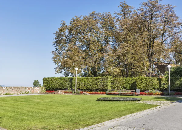 Schlossberg park autumn lawn in Graz — Stock Photo, Image