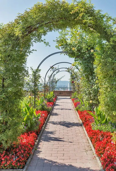 Schlossberg park blomsterrabatt i Graz, Österrike — Stockfoto