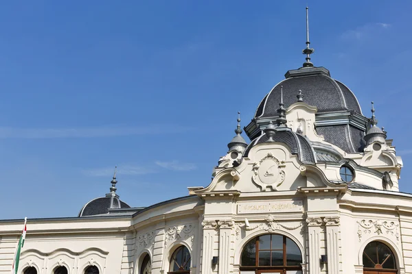 Costruzione della pista di ghiaccio e del lago di canottaggio a Budapest, Ungheria — Foto Stock