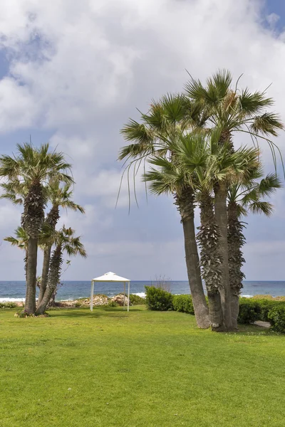 Пальмовый пляж Средиземного моря с павильоном — стоковое фото