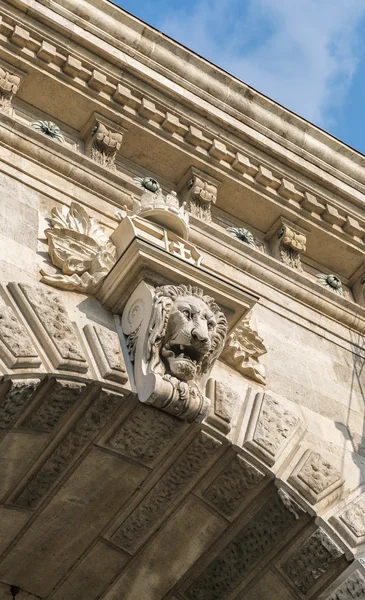 Löwe auf Kettenbrücke in Budapest, Ungarn — Stockfoto