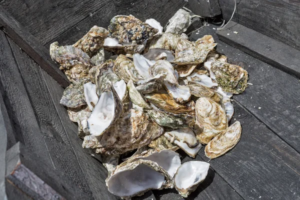 Close-up van lege oesterschelpen in houten kist — Stockfoto