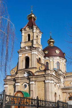 St. Nicholas Katedrali Berdychiv, Zhytomyr bölgesi, Ukrayna