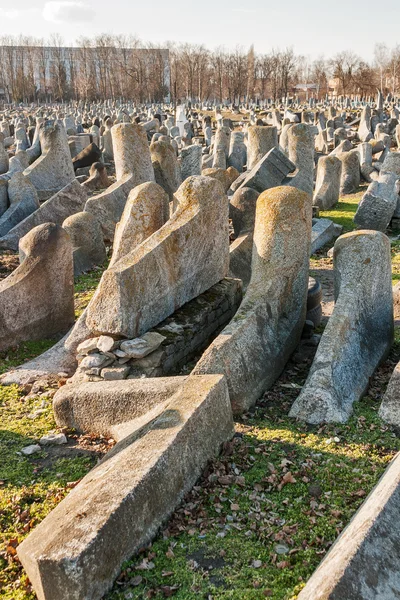 Fallen gravestones of ancient Jewish cemetery — Stock Photo, Image