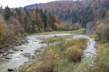 Nehir Prut Güz, Ukrayna.