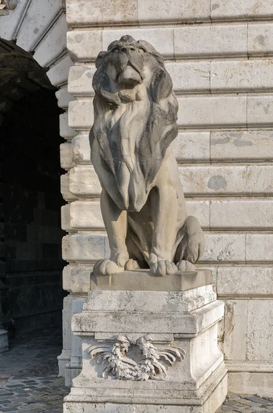 Lejonet statyn i Buda castle royal palace. Budapest, Ungern. — Stockfoto
