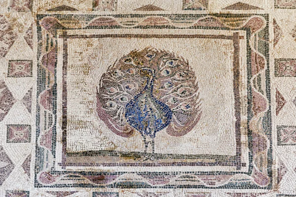 Греческая мозаика в археологическом парке Като Пафос, Кипр . — стоковое фото