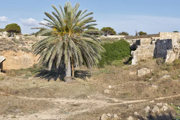 Tumbas de los Reyes en Pafos en Chipre —  Fotos de Stock